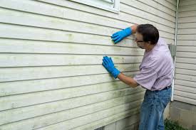 Affordable Siding Repair and Maintenance Services in Versailles, IN